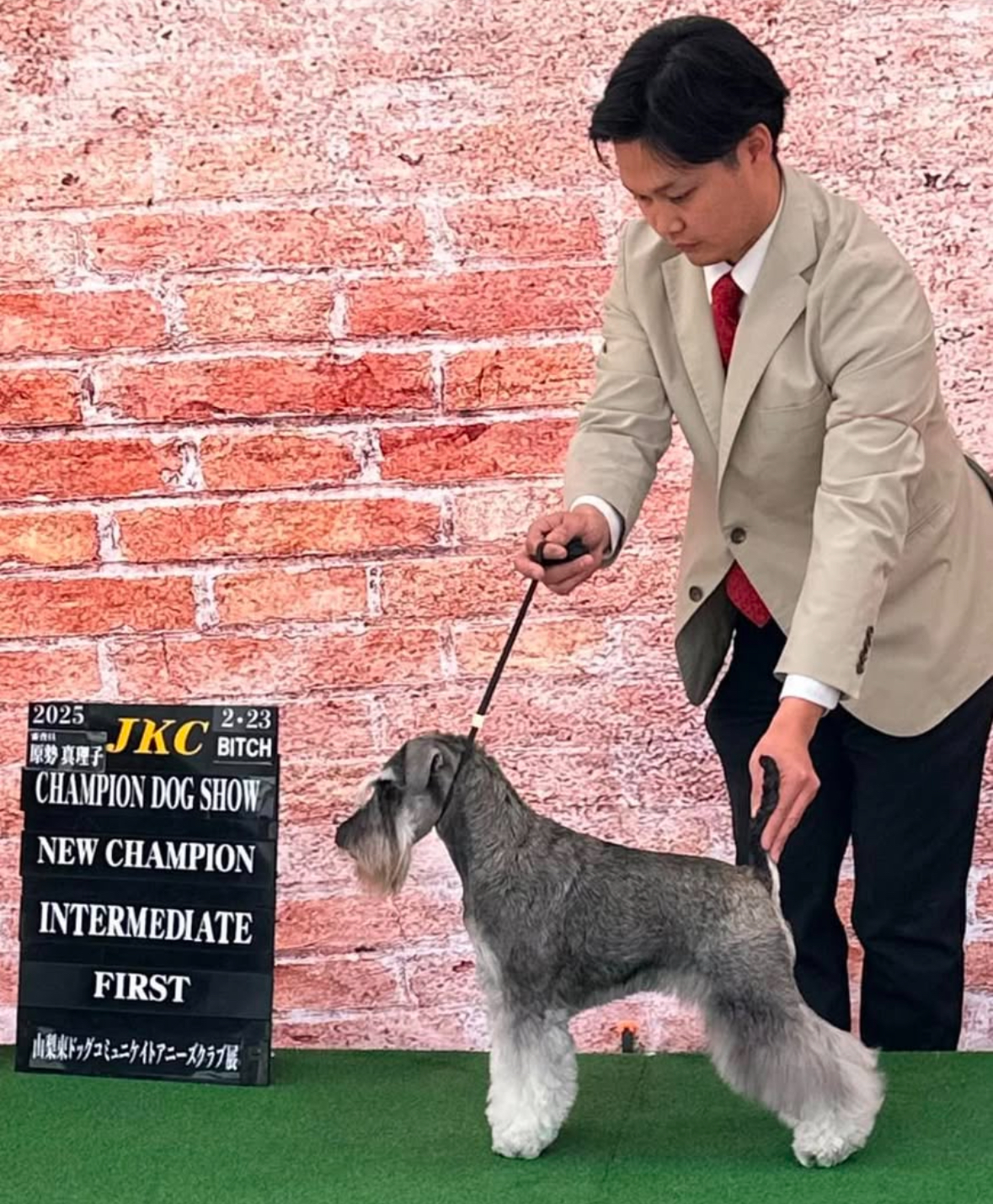 環水作品 犬 王者 New チャンピオン完成！！ | TERRIER STYLE by Joker land